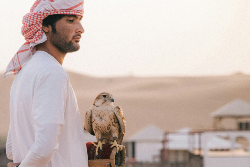 Saftari Dubai Desert Dubai Tours